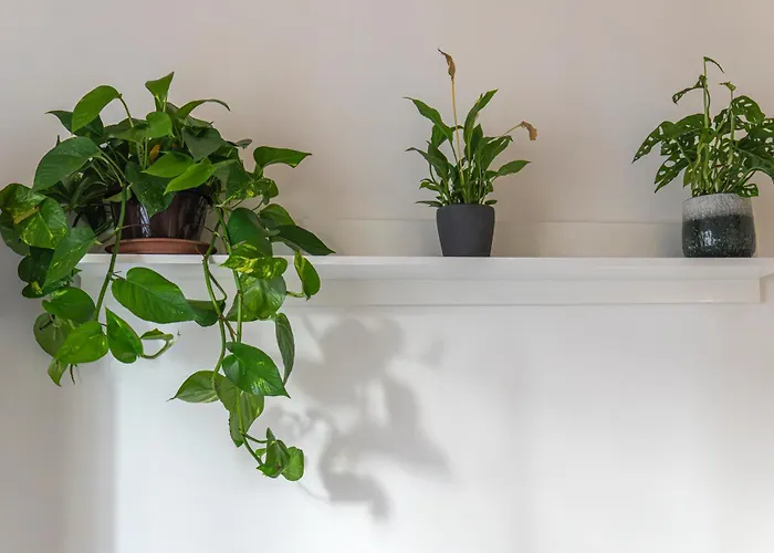 Casa Botanica Apartment