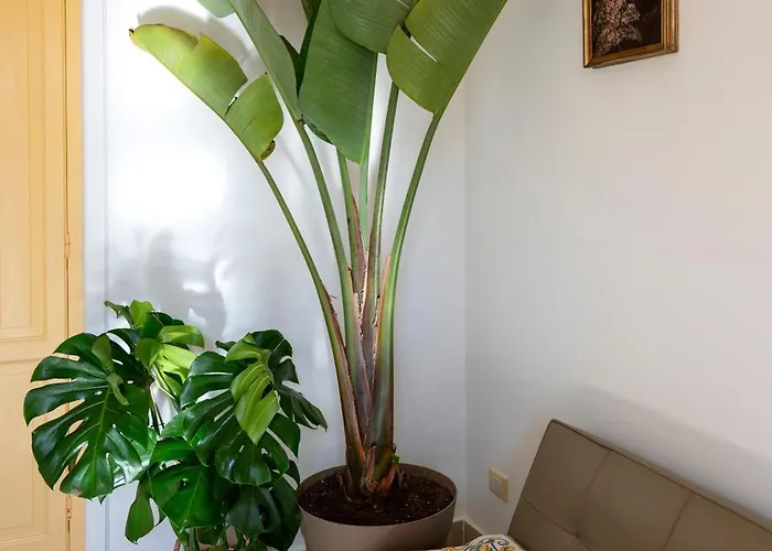 Casa Botanica *