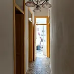 Casa Botanica