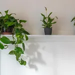 Casa Botanica Apartment
