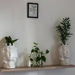 Casa Botanica Apartment