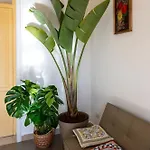 Casa Botanica *