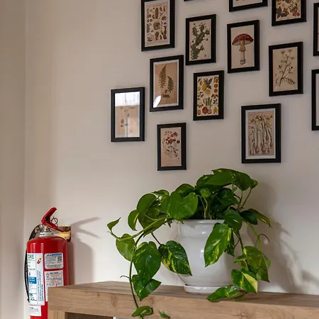 Casa Botanica * 巴勒莫