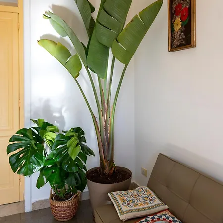 Casa Botanica *