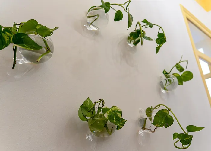 Casa Botanica Daire Palermo